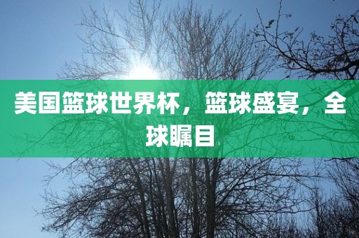 美国篮球世界杯，篮球盛宴，全球瞩目