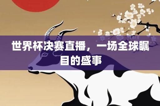 世界杯决赛直播，一场全球瞩目的盛事