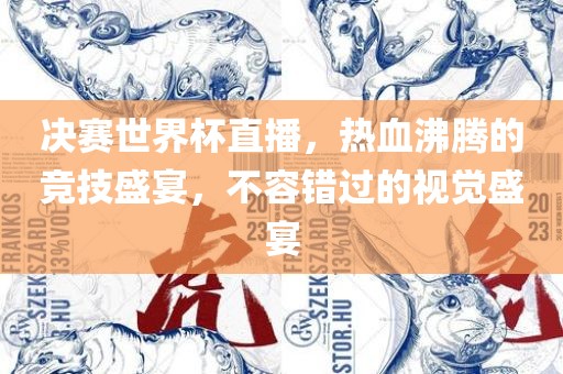 决赛世界杯直播，热血沸腾的竞技盛宴，不容错过的视觉盛宴
