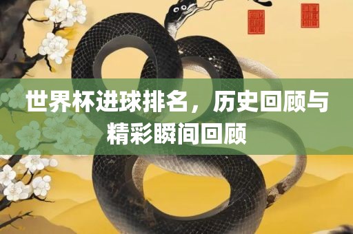 世界杯进球排名，历史回顾与精彩瞬间回顾