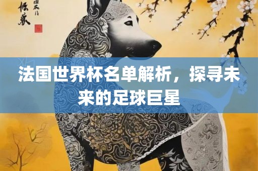 法国世界杯名单解析，探寻未来的足球巨星