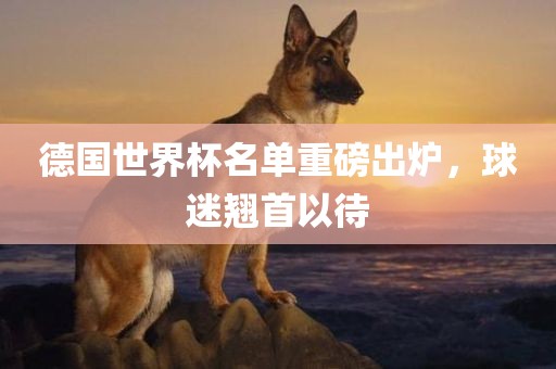 德国世界杯名单重磅出炉，球迷翘首以待