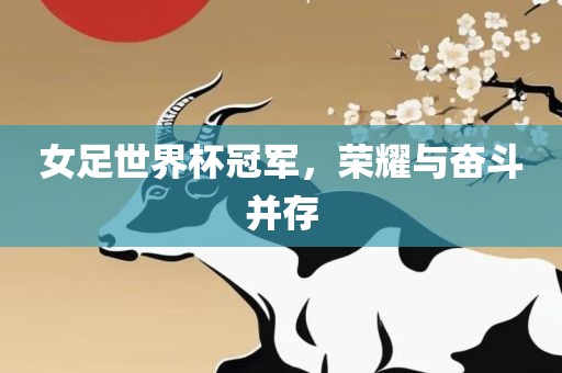 女足世界杯冠军，荣耀与奋斗并存