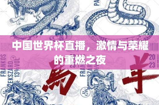 中国世界杯直播，激情与荣耀的重燃之夜漯河市盈旭机械设备有限公司