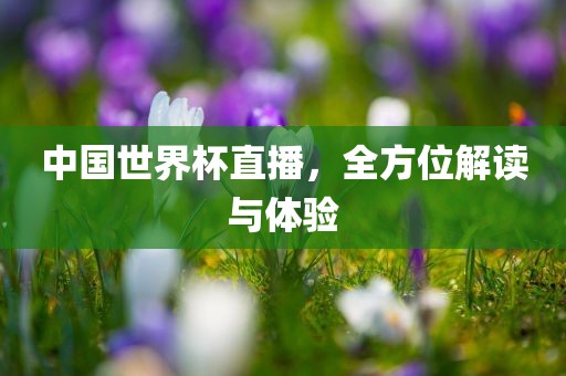 中国世界杯直播，全方位解读与体验漯河市盈旭机械设备有限公司