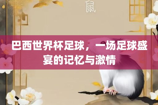 巴西世界杯足球，一场足球盛宴的记忆与激情