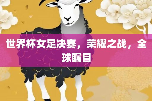 世界杯女足决赛，荣耀之战，全球瞩目