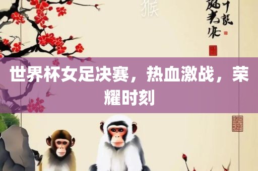 世界杯女足决赛，热血激战，荣耀时刻