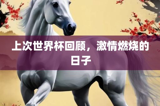 上次世界杯回顾，激情燃烧的日子