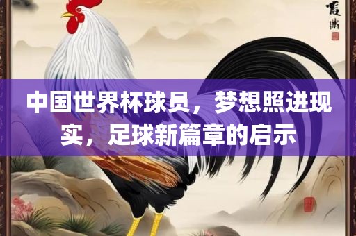 中国世界杯球员，梦想照进现实，足球新篇章的启示
