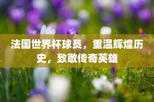 法国世界杯球员，重温辉煌历史，致敬传奇英雄
