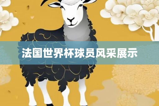法国世界杯球员风采展示