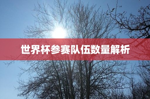 世界杯参赛队伍数量解析