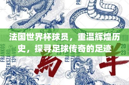 法国世界杯球员，重温辉煌历史，探寻足球传奇的足迹
