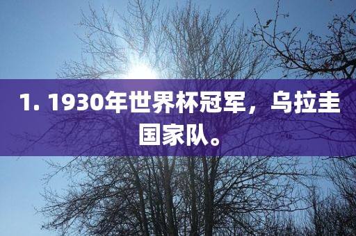 1. 1930年世界杯冠军，乌拉圭国家队。