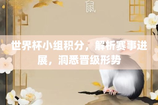 世界杯小组积分，解析赛事进展，洞悉晋级形势