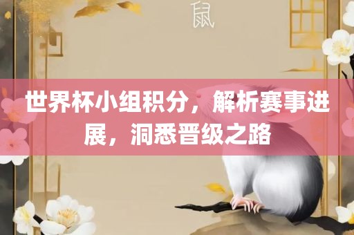 世界杯小组积分，解析赛事进展，洞悉晋级之路