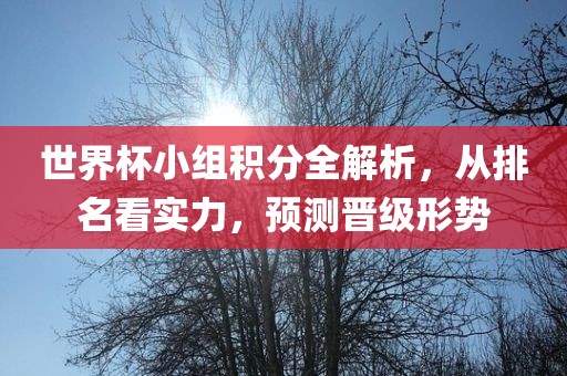 世界杯小组积分全解析，从排名看实力，预测晋级形势
