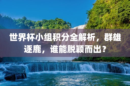世界杯小组积分全解析，群雄逐鹿，谁能脱颖而出？