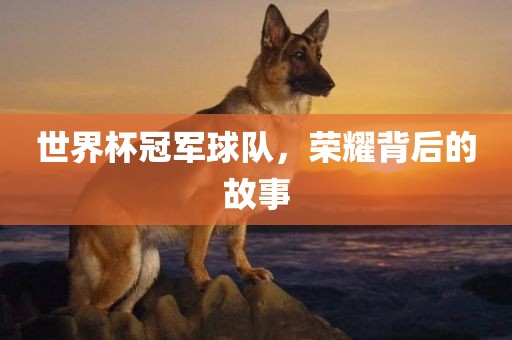 世界杯冠军球队，荣耀背后的故事