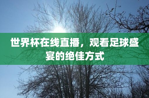 世界杯在线直播，观看足球盛宴的绝佳方式