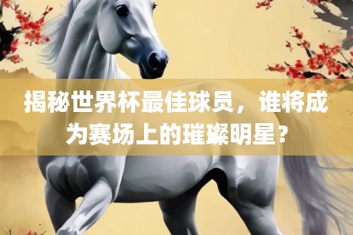 揭秘世界杯最佳球员，谁将成为赛场上的璀璨明星？