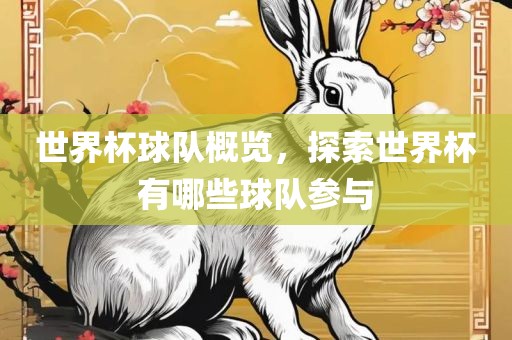 世界杯球队概览，探索世界杯有哪些球队参与