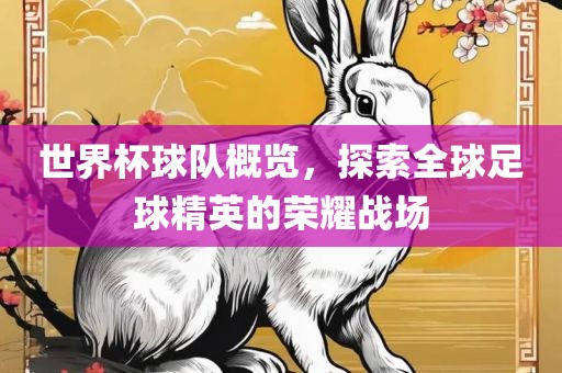 世界杯球队概览，探索全球足球精英的荣耀战场