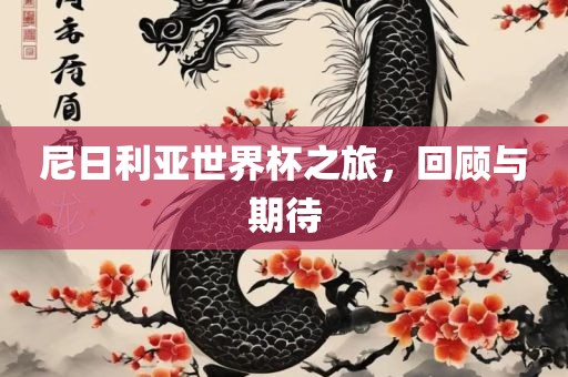 尼日利亚世界杯之旅，回顾与期待