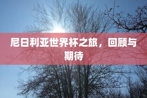 尼日利亚世界杯之旅，回顾与期待