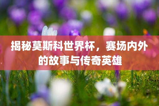 揭秘莫斯科世界杯，赛场内外的故事与传奇英雄