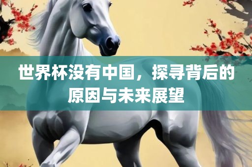 世界杯没有中国，探寻背后的原因与未来展望