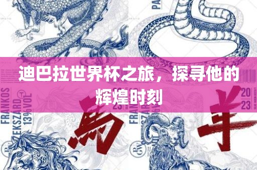 迪巴拉世界杯之旅，探寻他的辉煌时刻