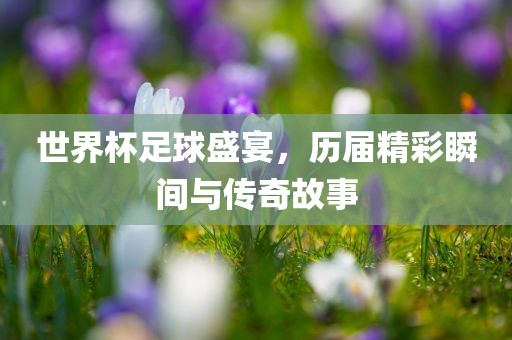 世界杯足球盛宴，历届精彩瞬间与传奇故事