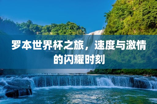 罗本世界杯之旅，速度与激情的闪耀时刻