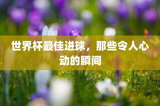 世界杯最佳进球，那些令人心动的瞬间