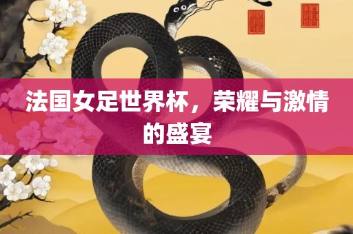 法国女足世界杯，荣耀与激情的盛宴