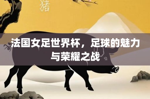 法国女足世界杯，足球的魅力与荣耀之战