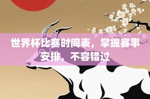 世界杯比赛时间表，掌握赛事安排，不容错过