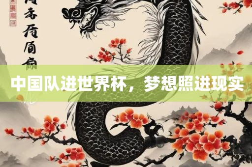中国队进世界杯，梦想照进现实