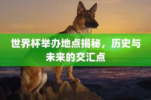 世界杯举办地点揭秘，历史与未来的交汇点