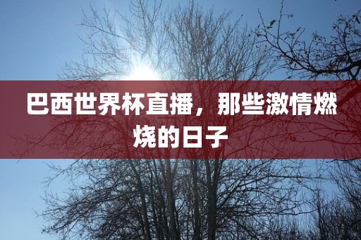 巴西世界杯直播，那些激情燃烧的日子