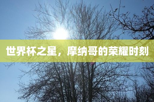 世界杯之星，摩纳哥的荣耀时刻