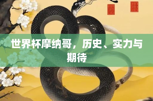 世界杯摩纳哥，历史、实力与期待
