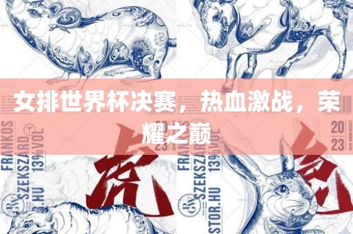 女排世界杯决赛，热血激战，荣耀之巅