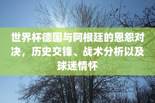 世界杯德国与阿根廷的恩怨对决，历史交锋、战术分析以及球迷情怀
