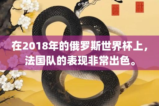 在2018年的俄罗斯世界杯上，法国队的表现非常出色。