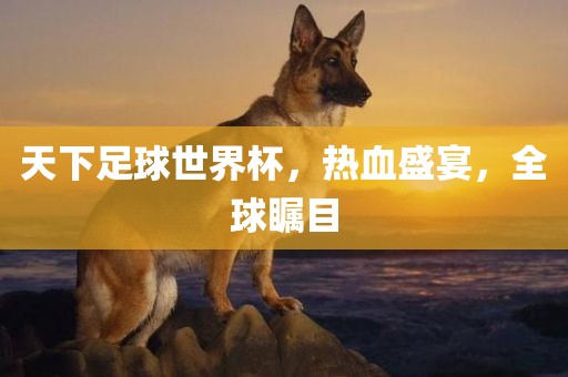天下足球世界杯，热血盛宴，全球瞩目