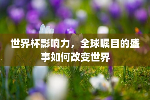 世界杯影响力，全球瞩目的盛事如何改变世界