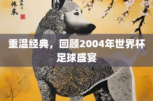 重温经典，回顾2004年世界杯足球盛宴
